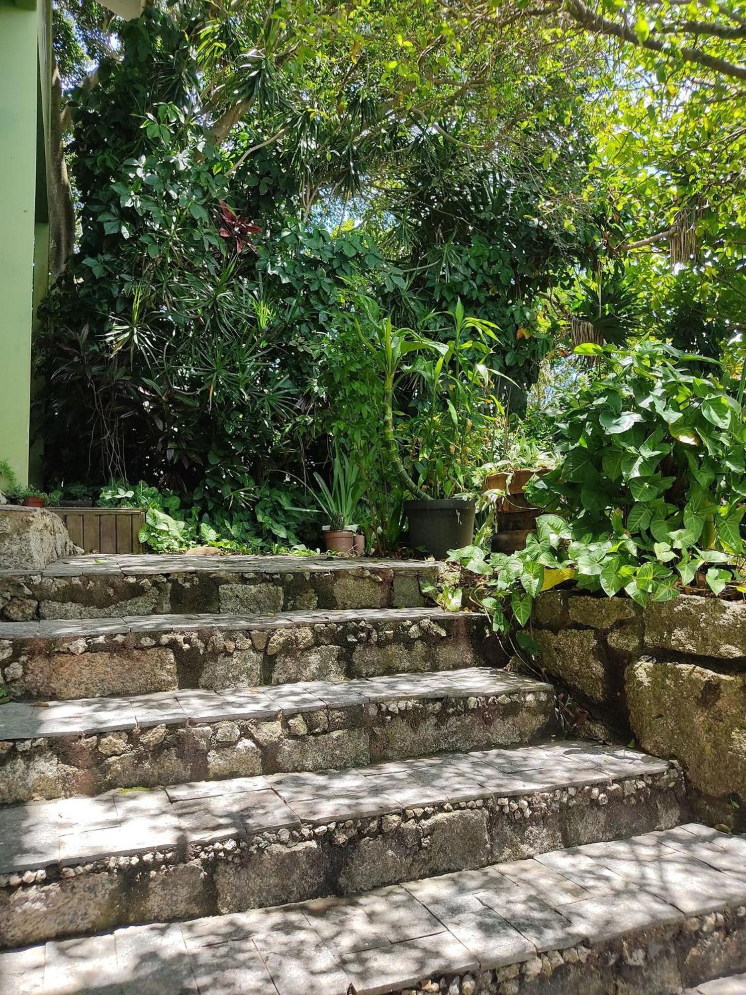 Samauma Floripa Aluguel De Quartos Homestay *