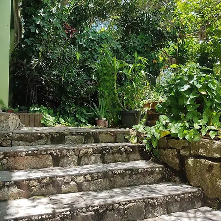 Samauma Floripa Aluguel De Quartos Florianopolis Exterior photo