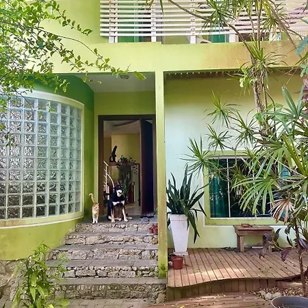 Samauma Floripa Aluguel De Quartos Florianopolis Exterior photo